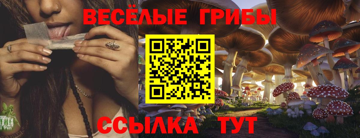 дарнет шоп  Вход с VPN  Великие Луки  Галлюциногенные грибы мухоморы  Псилоцибиновые грибы MAGIC MUSHROOMS 